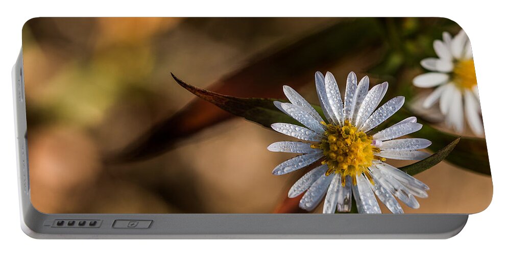 Dew Portable Battery Charger featuring the photograph White Flower Dew-drops Autumn #1 by Jivko Nakev