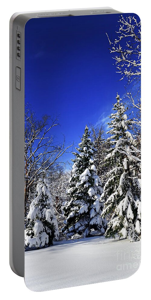 Winter Portable Battery Charger featuring the photograph Winter forest under snow 1 by Elena Elisseeva