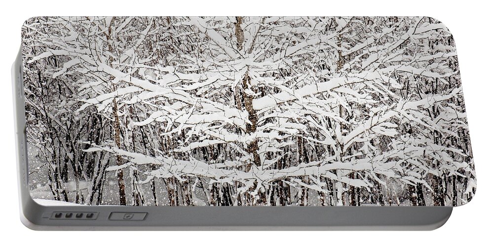 Winter Store Print Portable Battery Charger featuring the photograph Winter Storm Print #1 by Gwen Gibson