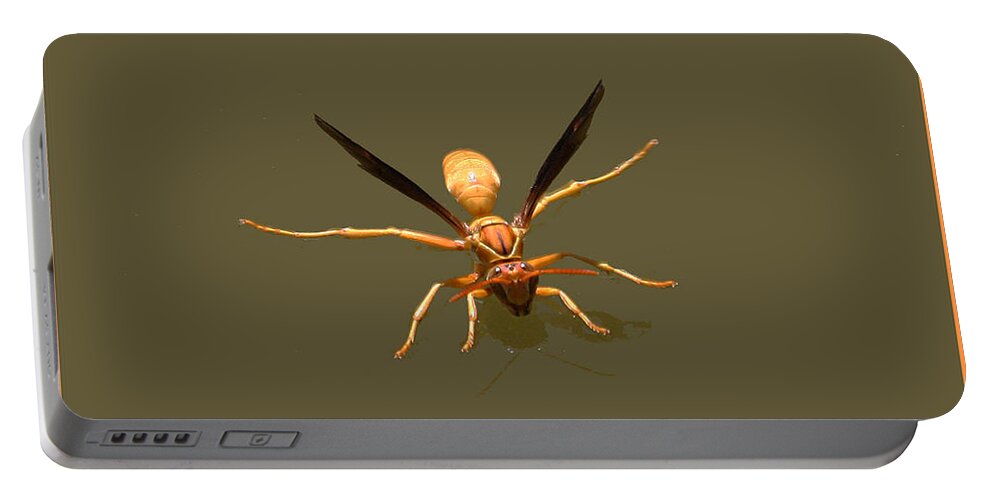Yellow Jacket Wasp Portable Battery Charger featuring the photograph Yellow Jacket Wasp #1 by Tom Janca