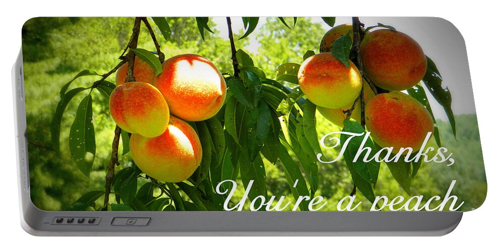 Peachy Portable Battery Charger featuring the photograph You're a Peach by Valerie Reeves