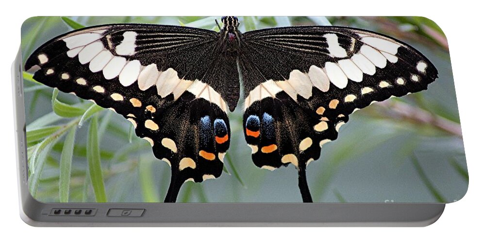 Butterfly Portable Battery Charger featuring the photograph Butterfly #11 by Diane Lesser