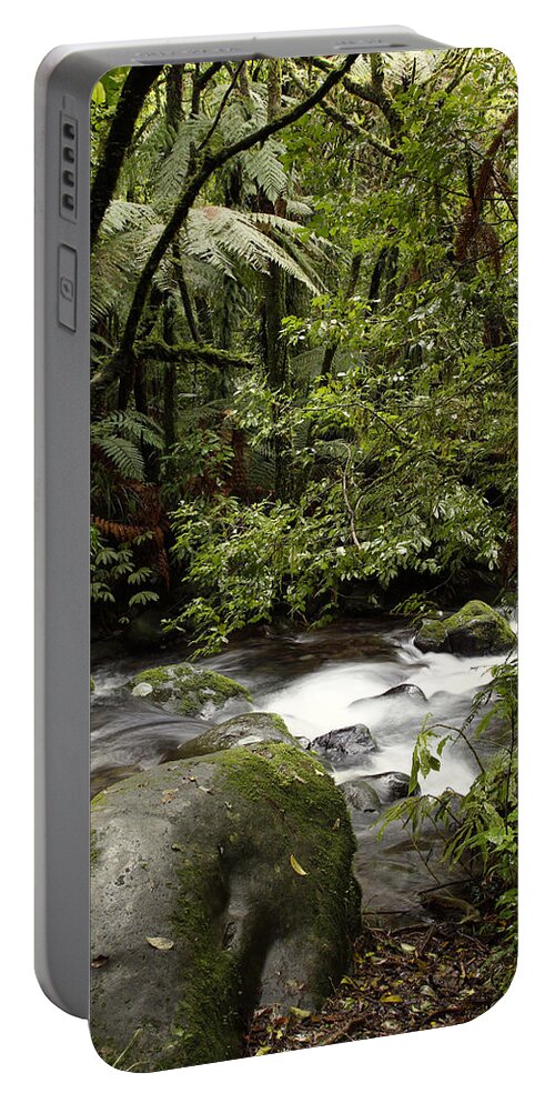 Water Portable Battery Charger featuring the photograph Jungle stream #11 by Les Cunliffe