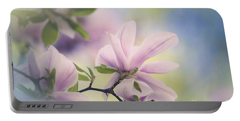 Magnolia Portable Battery Charger featuring the photograph Magnolia Flowers by Nailia Schwarz