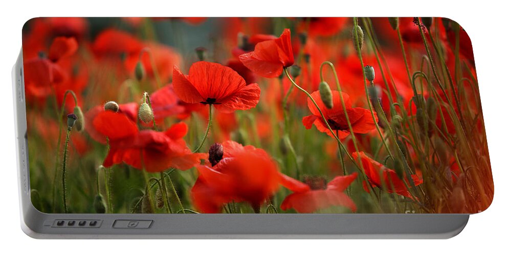 Poppy Portable Battery Charger featuring the photograph Poppy Dream by Nailia Schwarz