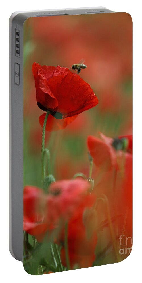 Poppy Portable Battery Charger featuring the photograph Red Poppy Flowers #12 by Nailia Schwarz