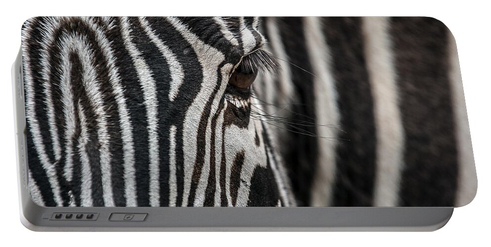 Grevy's Zebra Portable Battery Charger featuring the photograph 140420p229 by Arterra Picture Library