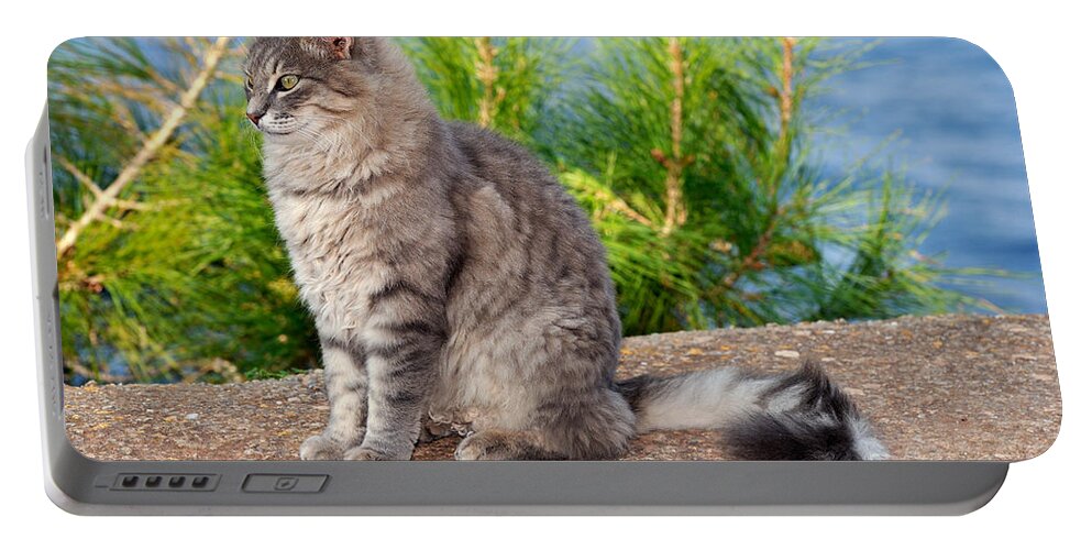 Cat Portable Battery Charger featuring the photograph Cat in Hydra island #21 by George Atsametakis