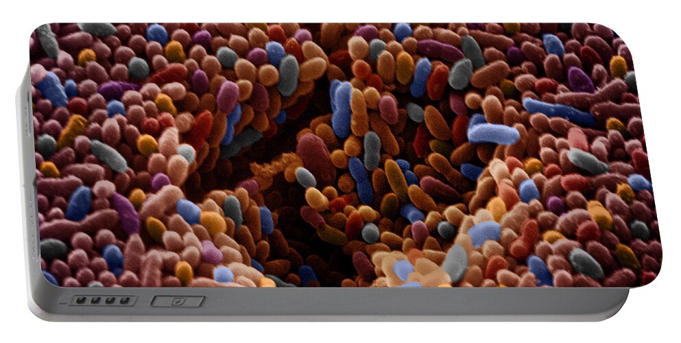 Sem Portable Battery Charger featuring the photograph Sem Of Polluted Water #16 by David M. Phillips
