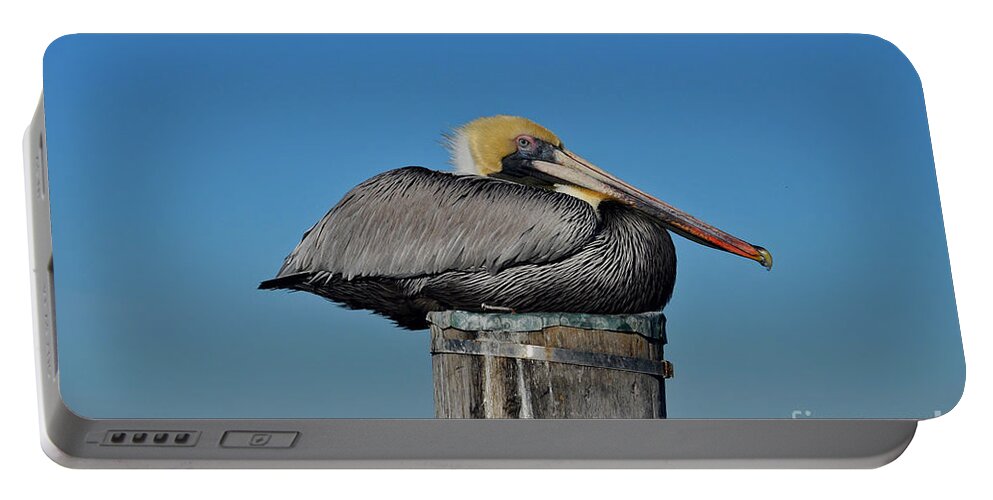 Pelican Portable Battery Charger featuring the photograph 18- Brown Pelican by Joseph Keane