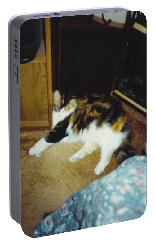 This Makes A Good Pillow Portable Battery Charger featuring the photograph Petey #19 by Robert Floyd