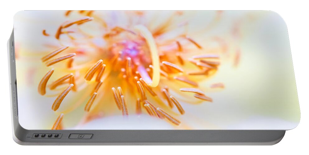 Art Portable Battery Charger featuring the photograph Abstract flower #2 by U Schade