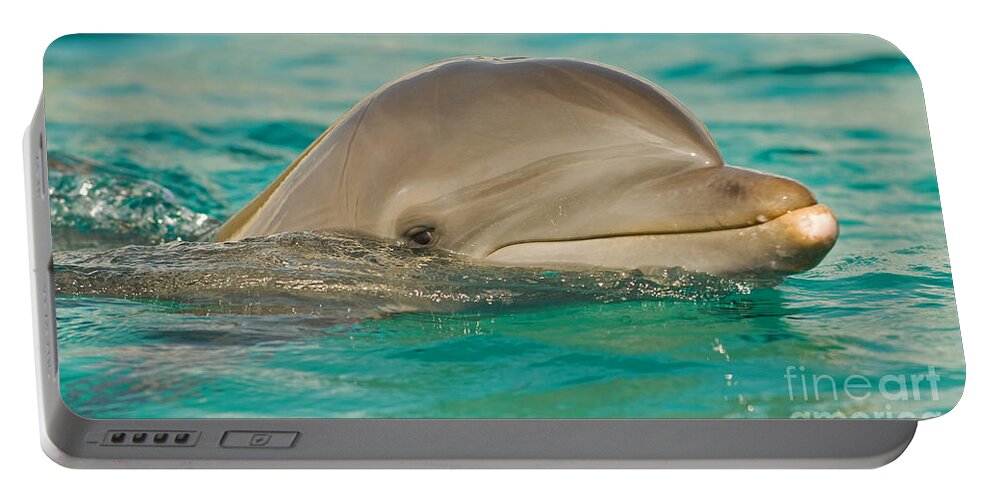 Atlantic Bottlenose Dolphin Portable Battery Charger featuring the photograph Atlantic Bottlenose Dolphin #2 by Millard H. Sharp