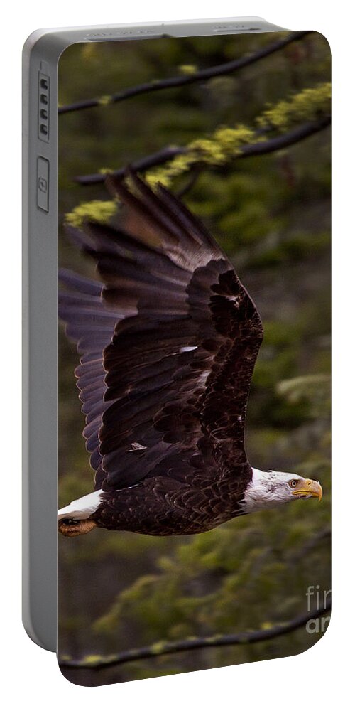 Haliaeetus Leucocphalus Portable Battery Charger featuring the photograph Bald Eagle In Flight by J L Woody Wooden