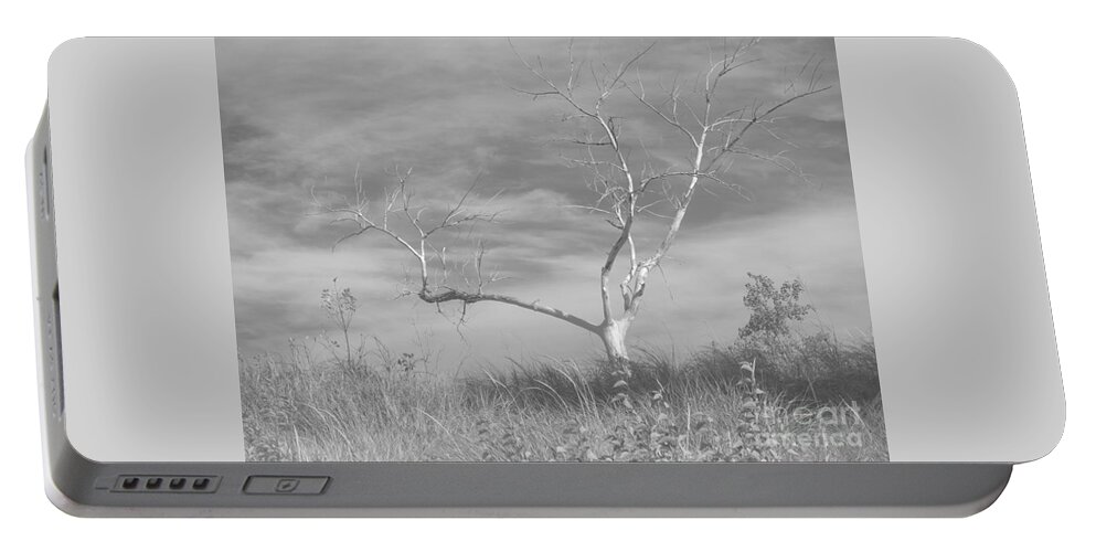 Tree Portable Battery Charger featuring the photograph Bereft by Ann Horn