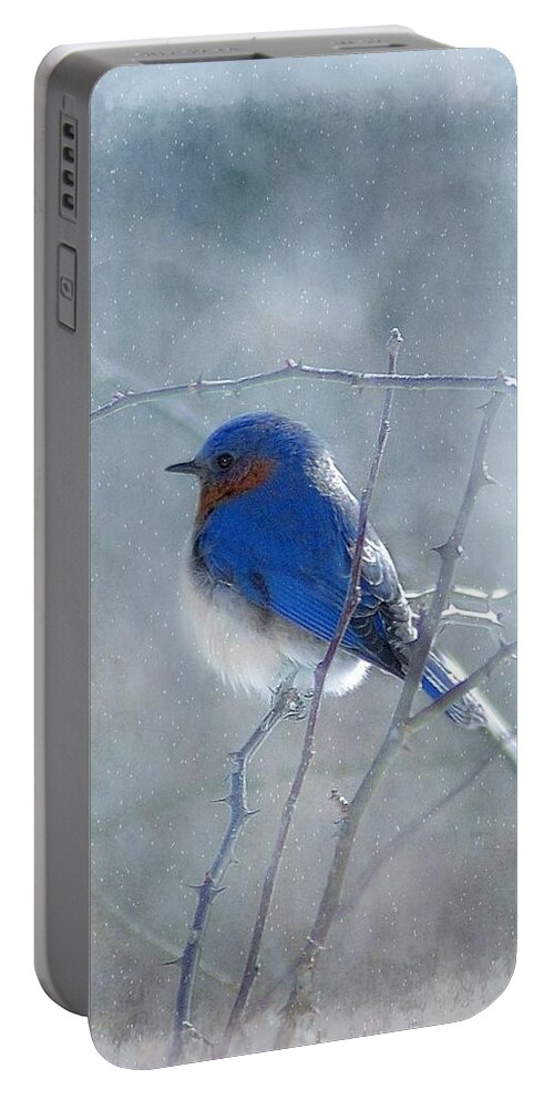 Birds Portable Battery Charger featuring the photograph Blue Bird by Fran J Scott