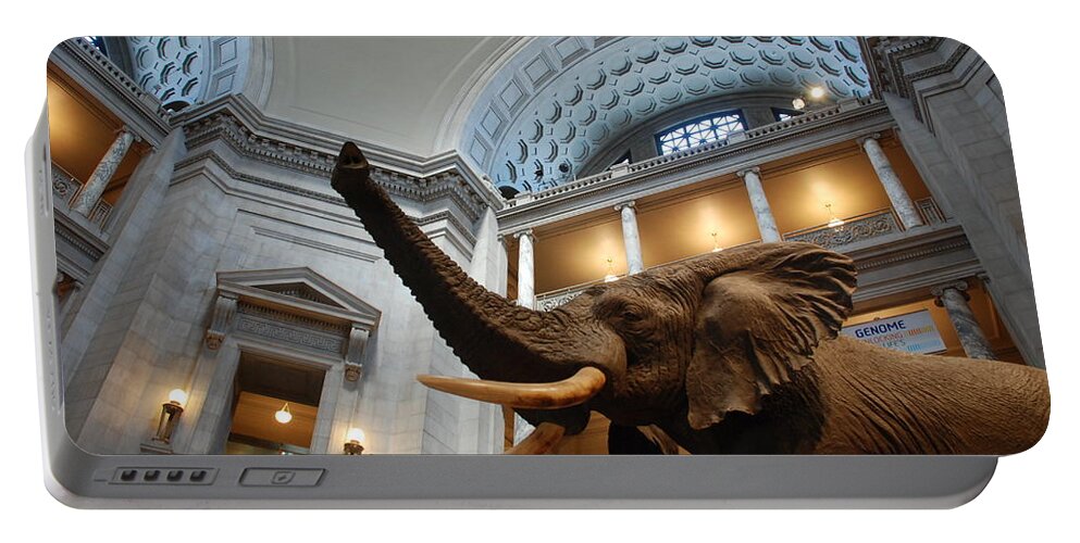 Bull Elephant Portable Battery Charger featuring the photograph Bull Elephant in Natural History Rotunda by Kenny Glover