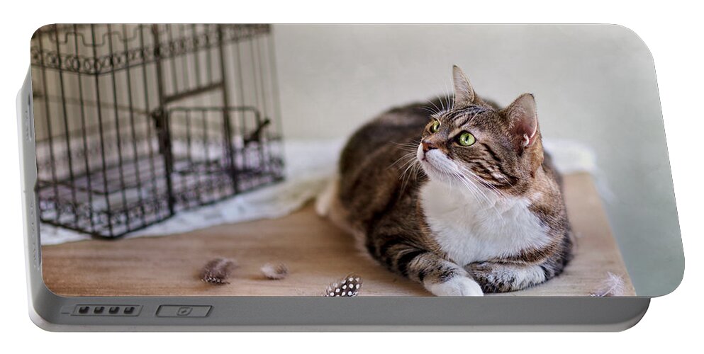 Katze Portable Battery Charger featuring the photograph Cat and Bird Cage by Nailia Schwarz