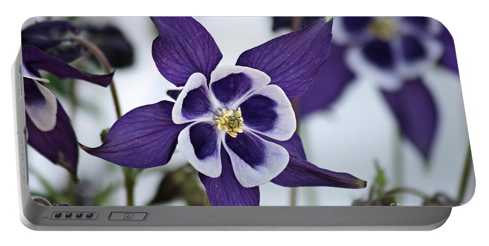 Columbine Portable Battery Charger featuring the photograph Columbine #2 by Stan Reckard