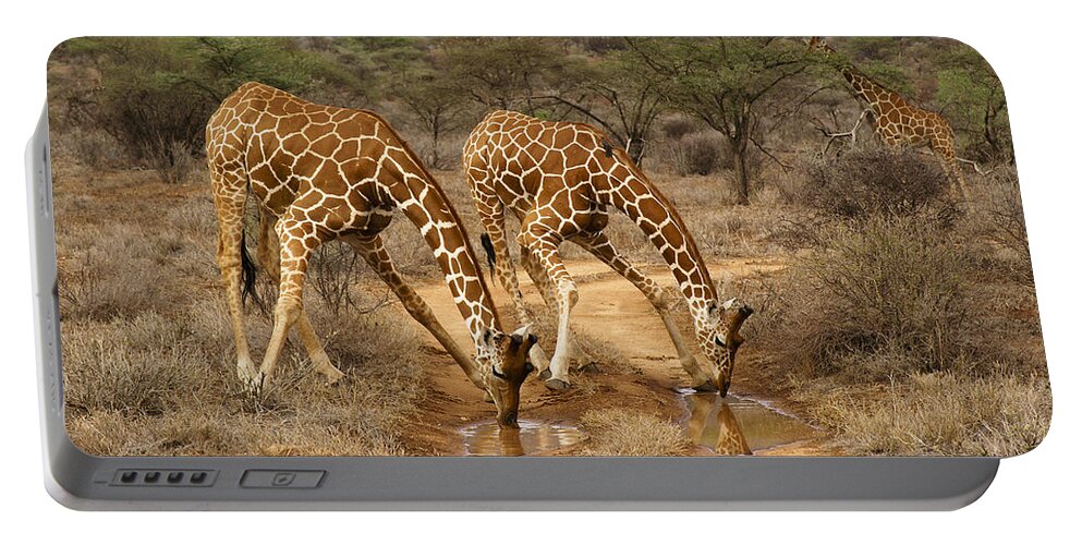 Africa Portable Battery Charger featuring the photograph Drinking in Tandem #2 by Michele Burgess