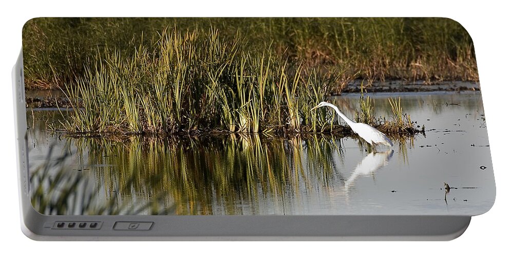 Birds Portable Battery Charger featuring the photograph Egret #2 by Steven Ralser
