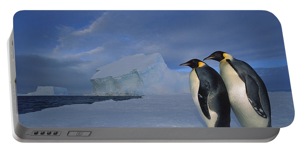 Feb0514 Portable Battery Charger featuring the photograph Emperor Penguins At Midnight Antarctica #2 by Tui De Roy