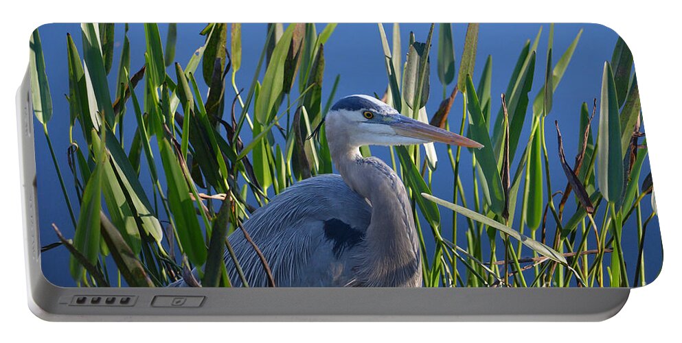 Great Blue Heron Portable Battery Charger featuring the photograph 2- Great Blue Heron by Joseph Keane