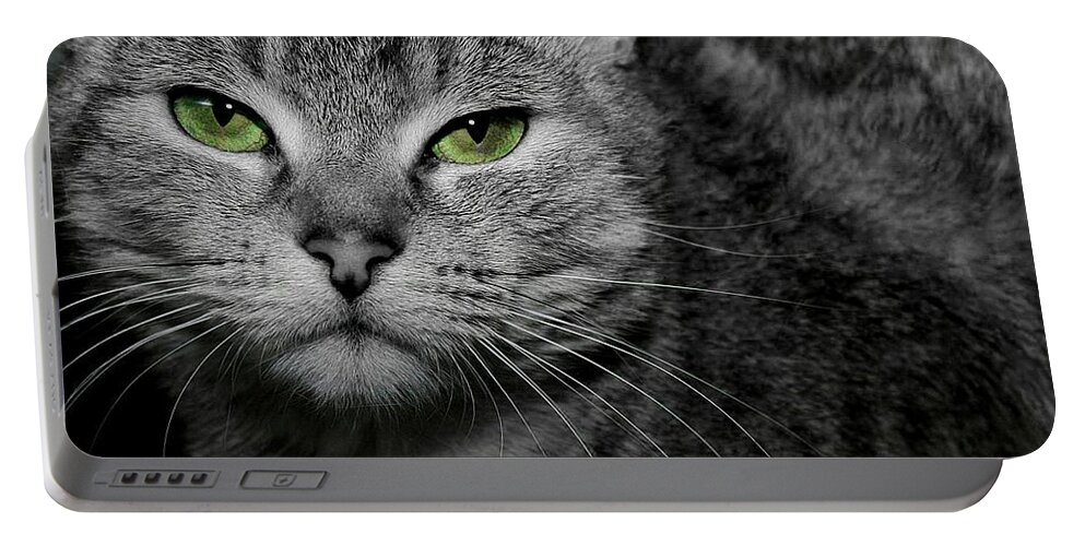 Tabby Portable Battery Charger featuring the photograph Green Eyes #1 by Joyce Baldassarre