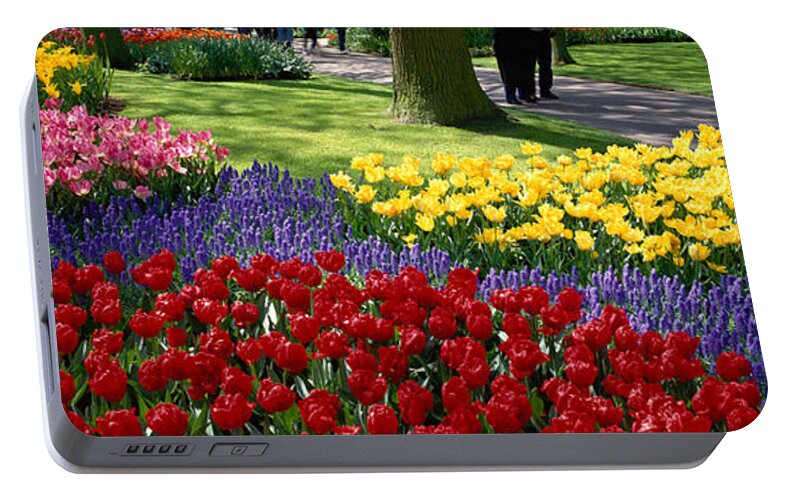 Photography Portable Battery Charger featuring the photograph Keukenhof Garden, Lisse, The Netherlands #2 by Panoramic Images