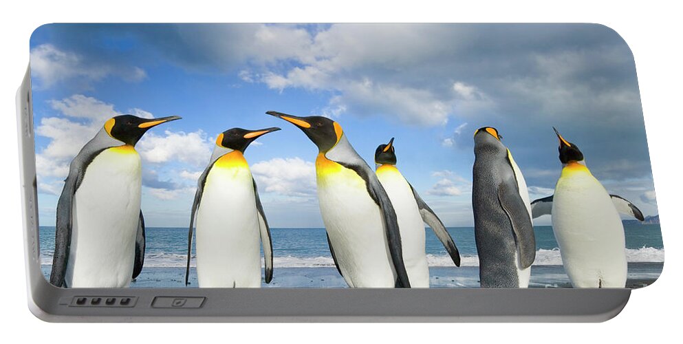 00345362 Portable Battery Charger featuring the photograph King Penguins in Gold Harbour by Yva Momatiuk John Eastcott