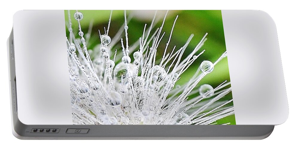 Morning Portable Battery Charger featuring the photograph Morning Dew by Kim Bemis