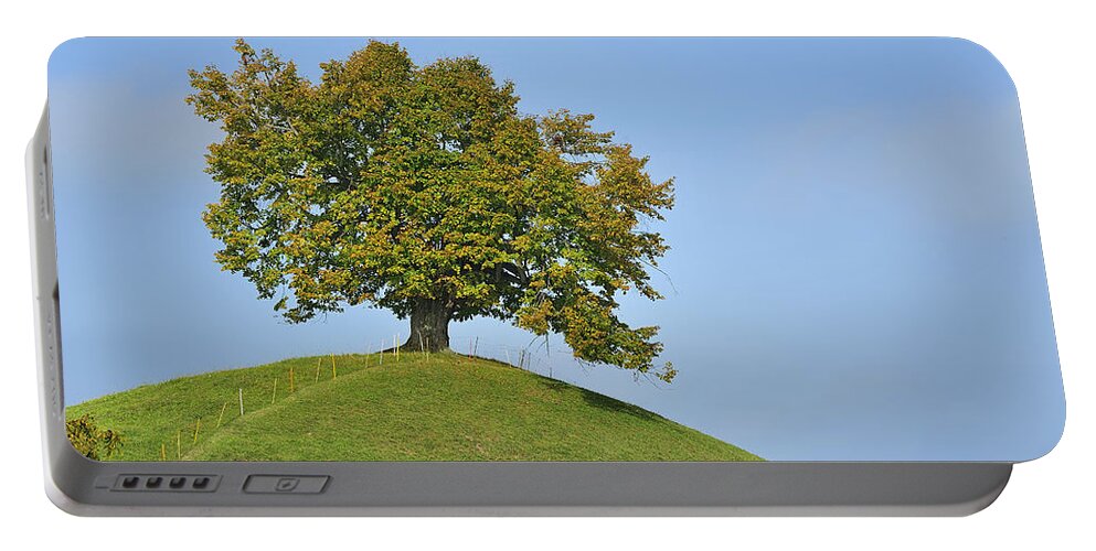 Feb0514 Portable Battery Charger featuring the photograph Lime Tree Zug Switzerland #2 by Thomas Marent