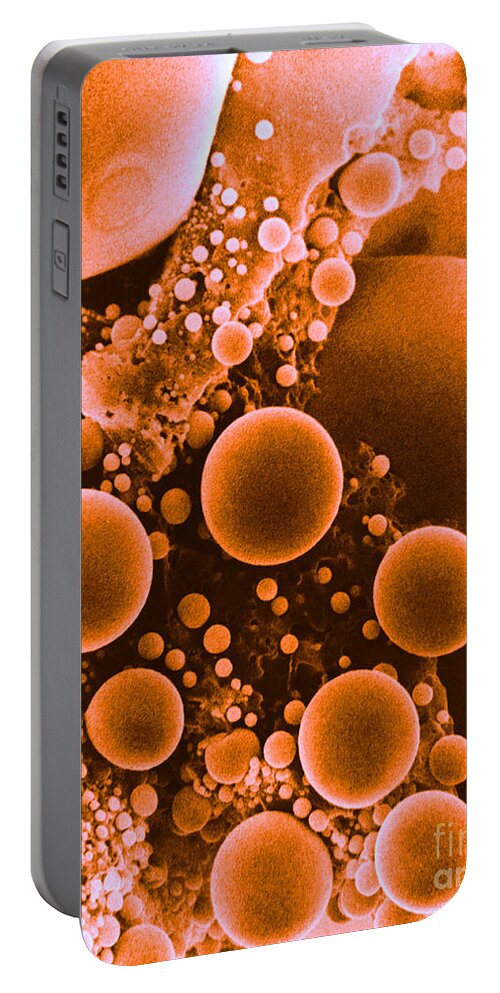Science Portable Battery Charger featuring the photograph Lipid Droplets, Sem #2 by David M. Phillips
