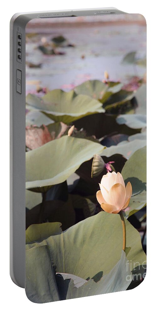 Lotus Portable Battery Charger featuring the photograph Lotus #2 by Amanda Barcon