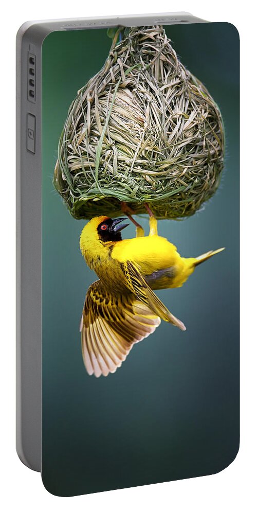 Africa Portable Battery Charger featuring the photograph Masked weaver at nest by Johan Swanepoel