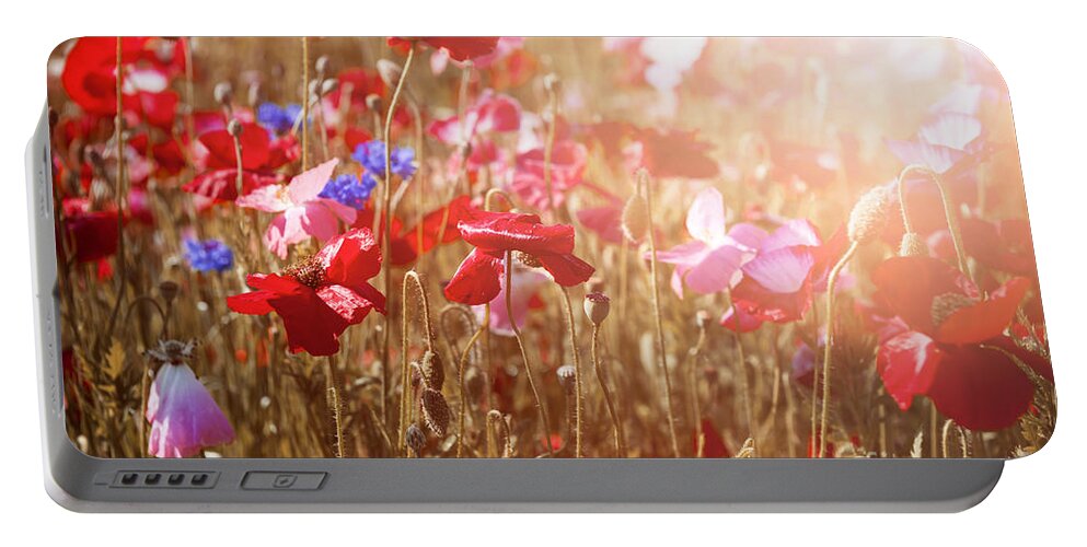 Poppies Portable Battery Charger featuring the photograph Poppies in sunny meadow by Elena Elisseeva