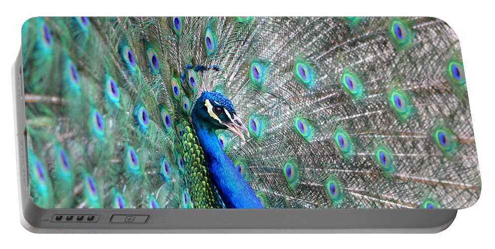 Peacock Portable Battery Charger featuring the photograph Proud by Deena Stoddard