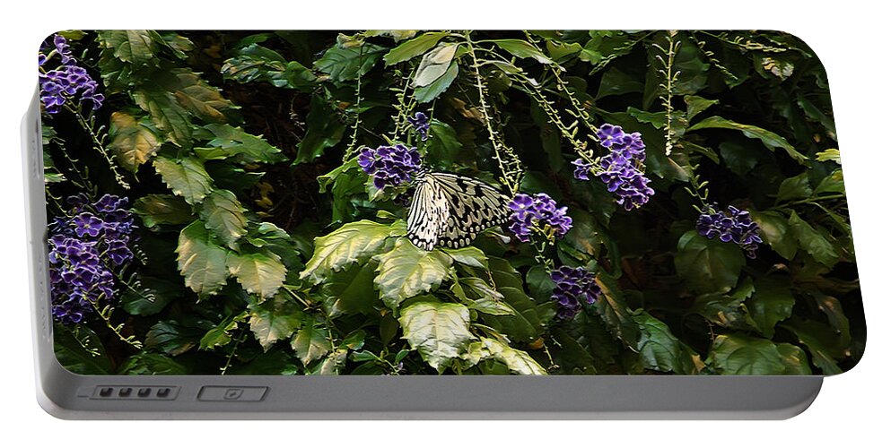 Butterfly Portable Battery Charger featuring the photograph Purple Beauty #2 by Aimee L Maher ALM GALLERY