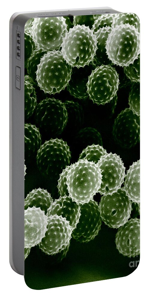 Allergen Portable Battery Charger featuring the photograph Ragweed Pollen Sem by David M. Phillips / The Population Council
