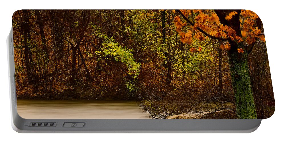 Autumn Portable Battery Charger featuring the photograph Rainy Morning #2 by Onyonet Photo studios