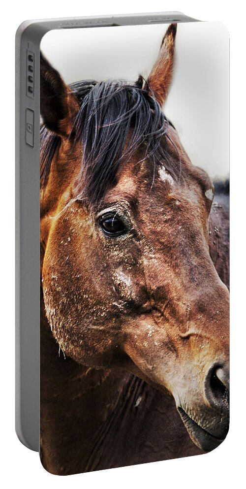 Horse Portable Battery Charger featuring the photograph Resilience by Belinda Greb