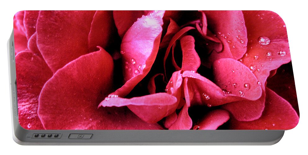 Dreamy Red Portable Battery Charger featuring the photograph Rose With Raindrops by Nina Ficur Feenan