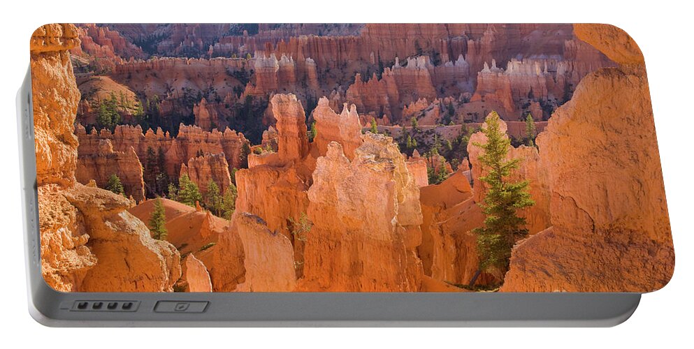00431149 Portable Battery Charger featuring the photograph Sandstone Hoodoos in Bryce Canyon #2 by Yva Momatiuk John Eastcott