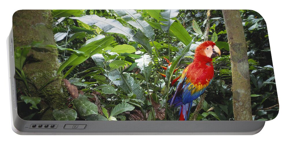 Full Length Portable Battery Charger featuring the photograph Scarlet Macaw by Art Wolfe