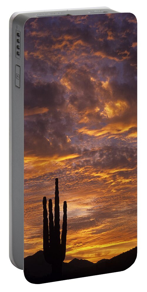 American Southwest Portable Battery Charger featuring the photograph Silhouetted saguaro cactus sunset at dusk with dramatic clouds #2 by Jim Corwin