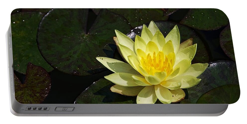 Water Lily Portable Battery Charger featuring the photograph Soaking up the Sun #2 by Dave Files