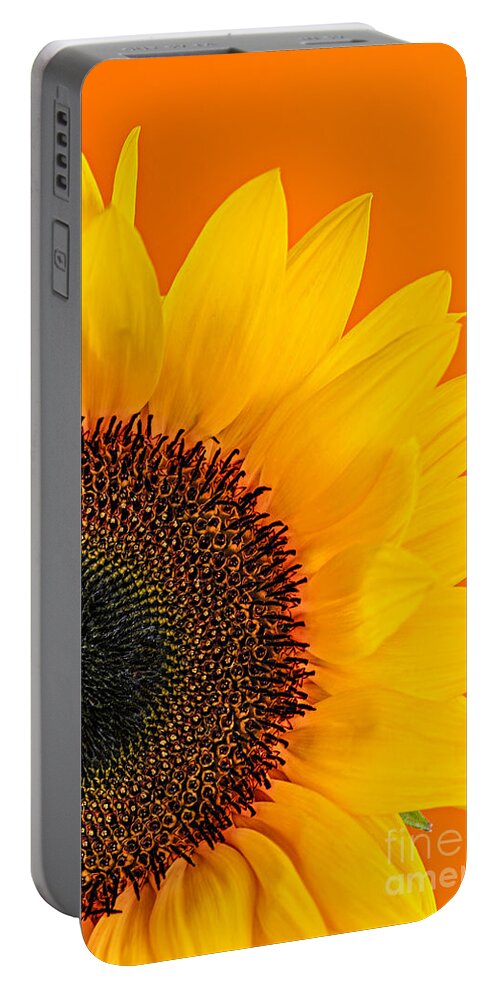 Sunflower Portable Battery Charger featuring the photograph Sunflower closeup 2 by Elena Elisseeva