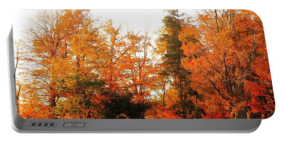Trees Portable Battery Charger featuring the photograph Trees of Fall #2 by Rhonda Barrett
