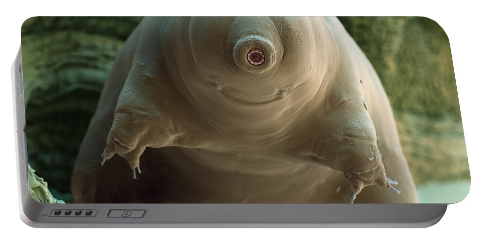 Macrobiotus Sapiens Portable Battery Charger featuring the photograph Water Bear Or Tardigrade #3 by Eye of Science