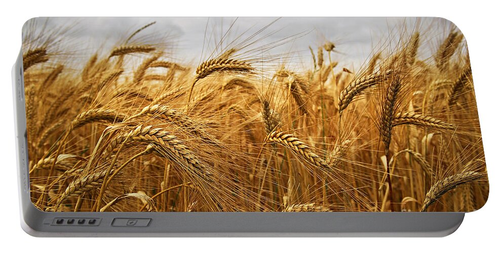 Wheat Portable Battery Charger featuring the photograph Wheat by Elena Elisseeva